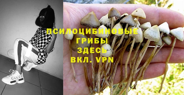 шишки Баксан